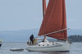 arran comrades 3534c whyw24 wed 750 8990